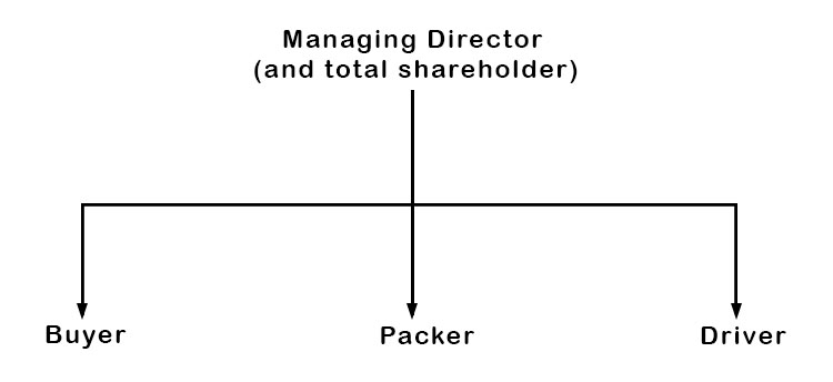 There are many different organisational structures in the world of business. If it is a small Ltd company, quite often the only shareholder will also be the managing director, and the organisational chart will be as follows